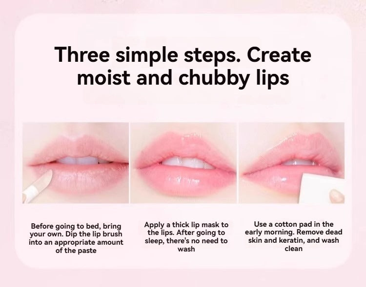 Laneige Lip Sleeping Mask - Berry Lip Treatment (20g)
